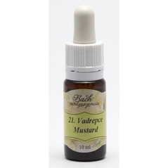 BACH 21 MUSTARD ( MUȘTAR SĂLBATIC )- 10ML