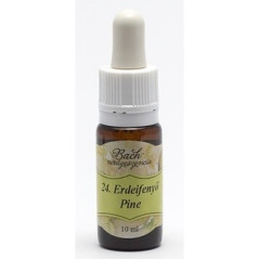 Bach 24 Pine (Pin)-10ML