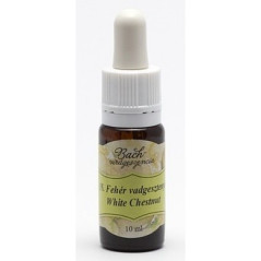 BACH 35 WHITE CHESTNUT ( CASTAN ALB)-10ML