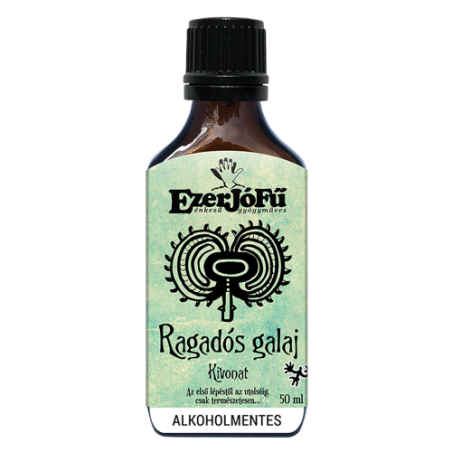 EXTRACT  NATURAL DE LIPICIOASA (GALIUM APARINE) 50 ML