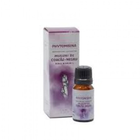 Fekete ribizli rügy, Phytomirna Rügykivonat koncentrátum 10 ml