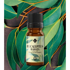 Ellemental Ulei esențial de Eucalipt Radiata -10ml