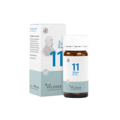 Pflüger 100 TABLETTA - NR.11 SILICEA D12
