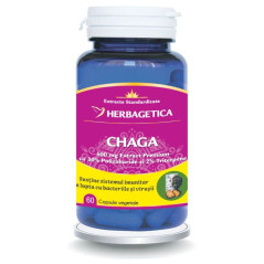 Herbagetica Chaga 60 Capsule