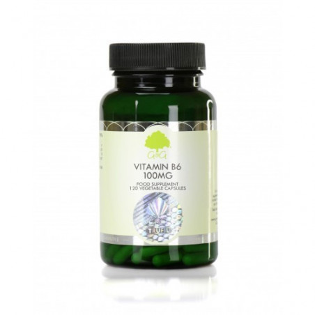Vitamina B6 Piridoxină 100mg - 120 capsule.